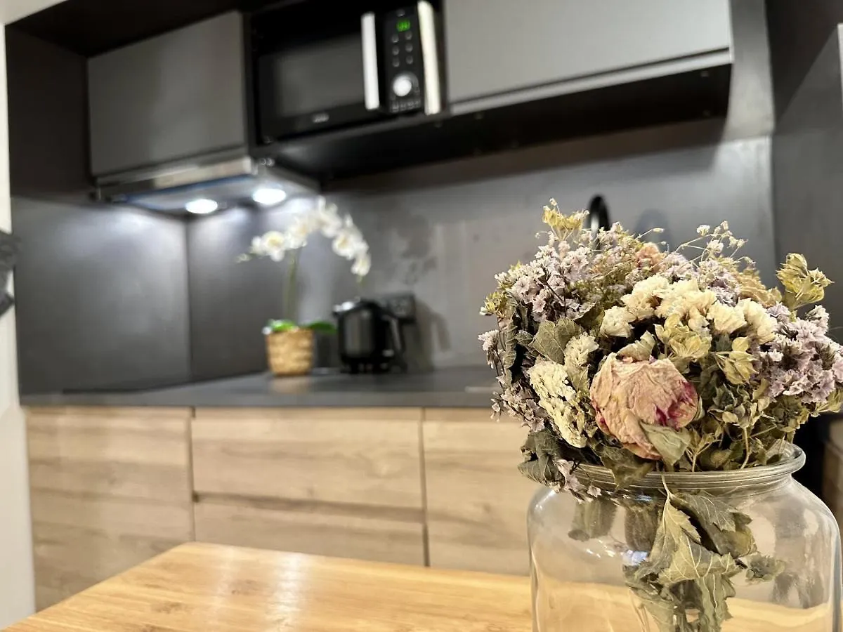 Charming Studio - Alesia Paris